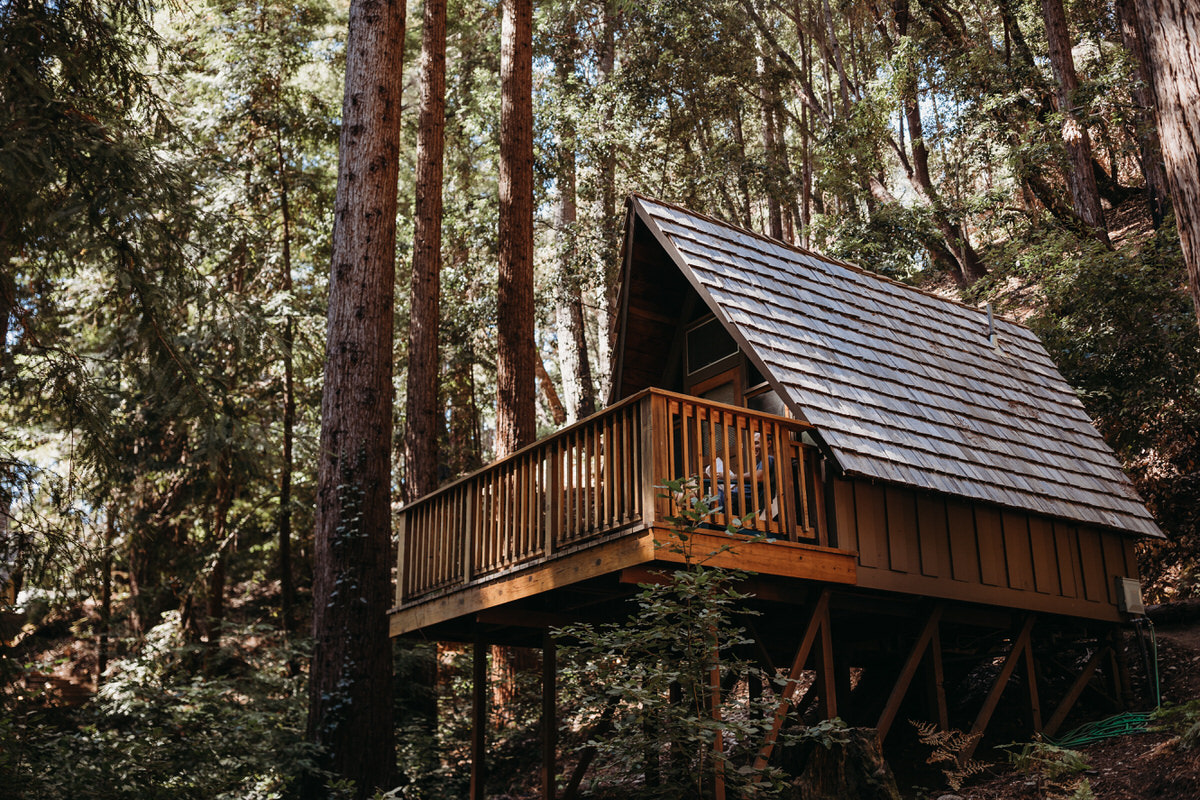 A cozy A-frame cabin with a spacious deck nestled among towering redwood trees, showcasing a serene forest retreat